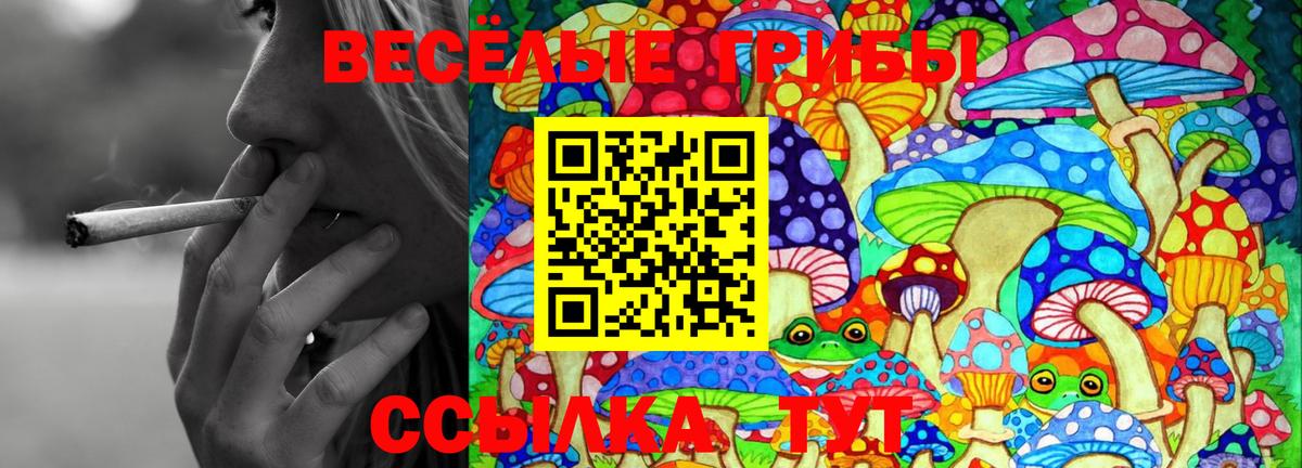 Галлюциногенные грибы Psilocybe  Вход с VPN  Чебаркуль  Галлюциногенные грибы Psilocybine cubensis 